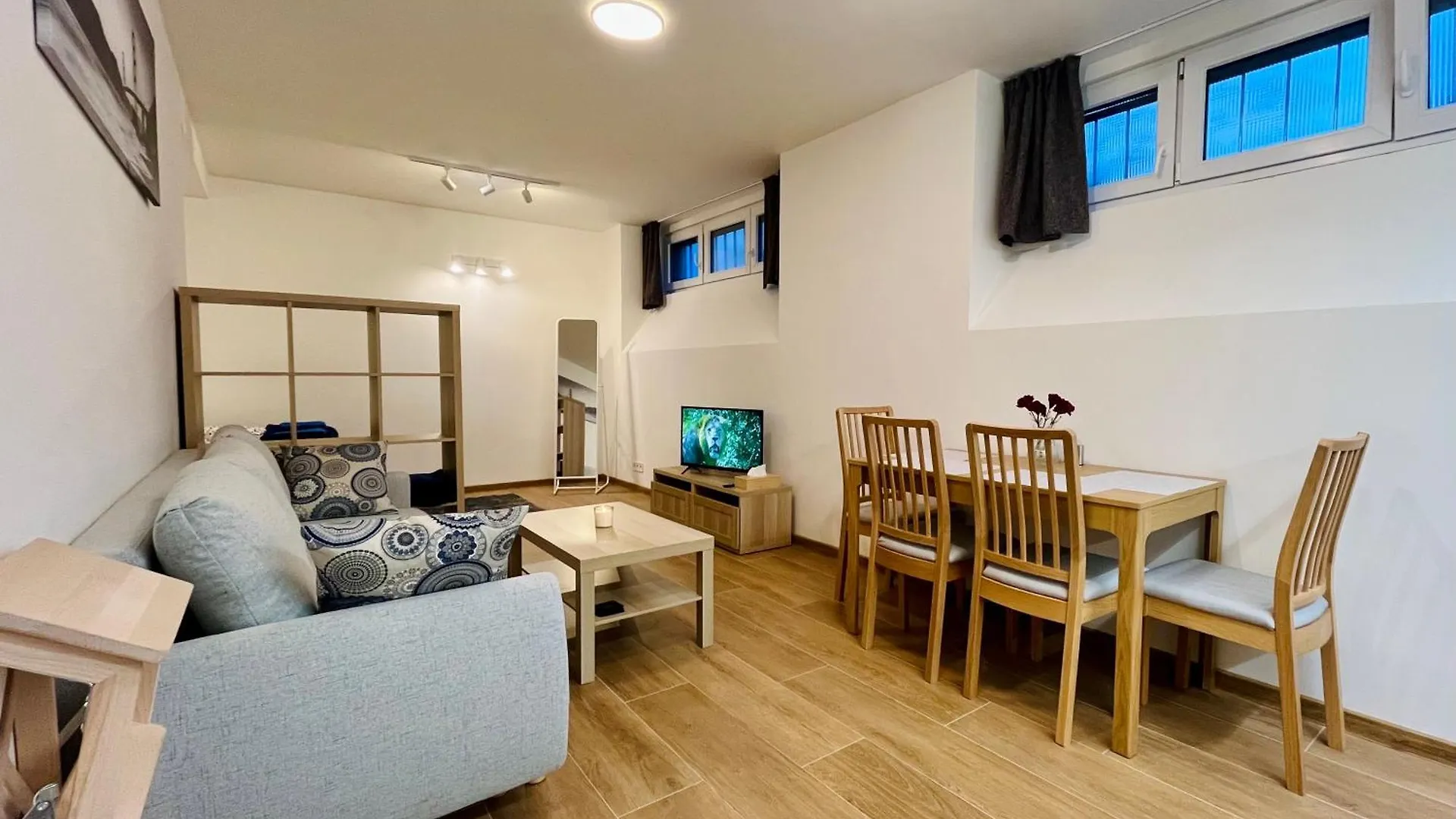 Pleasant Basement Apartment Praga