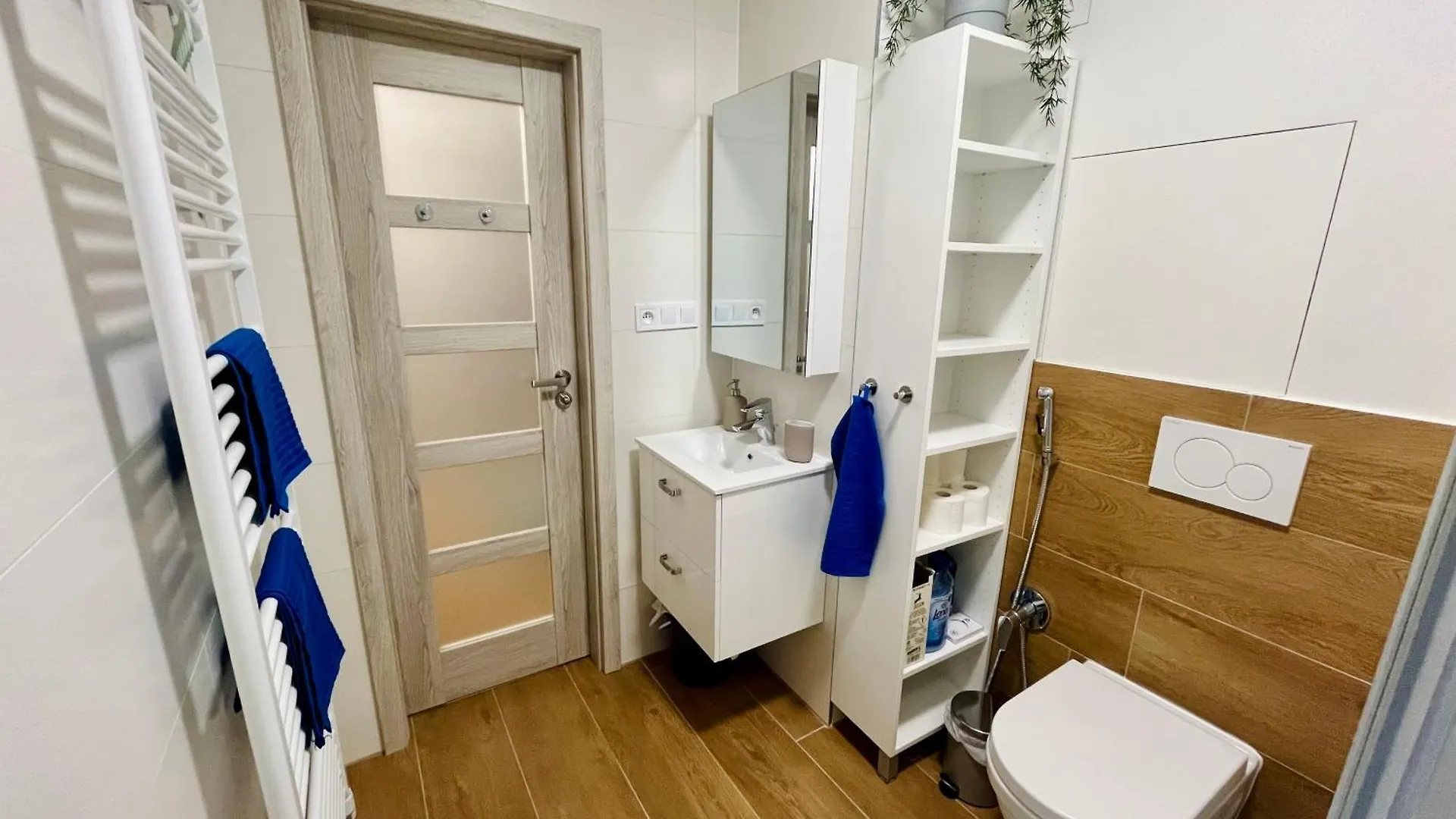Pleasant Basement Apartment Praga
